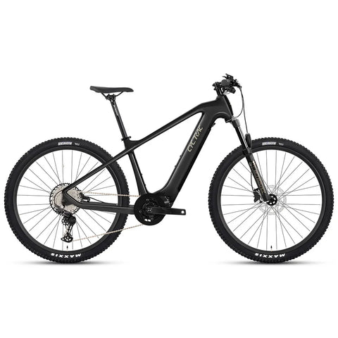 e Bikes